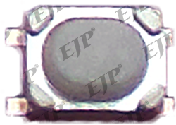 Single position surface mount micro switch