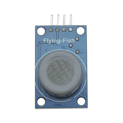 Carbon monoxide sensor module